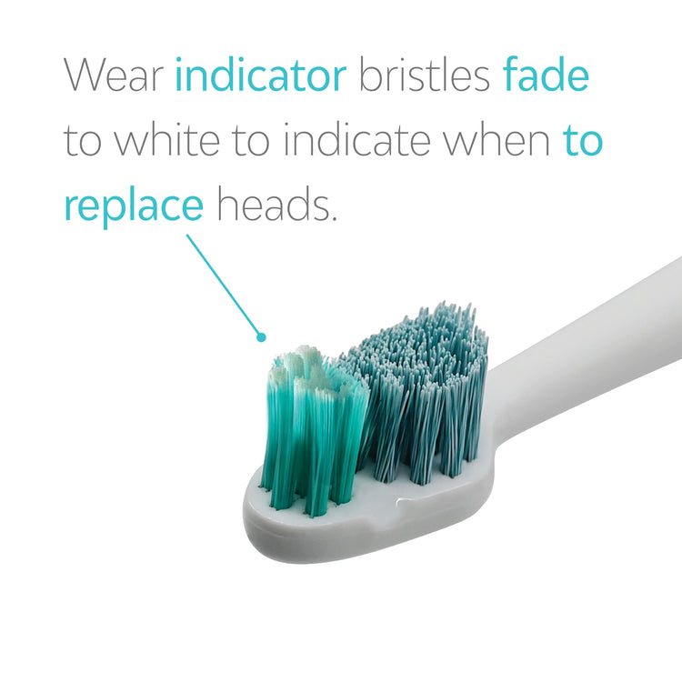 Toothbrush Ortho Heads (2 Pack)