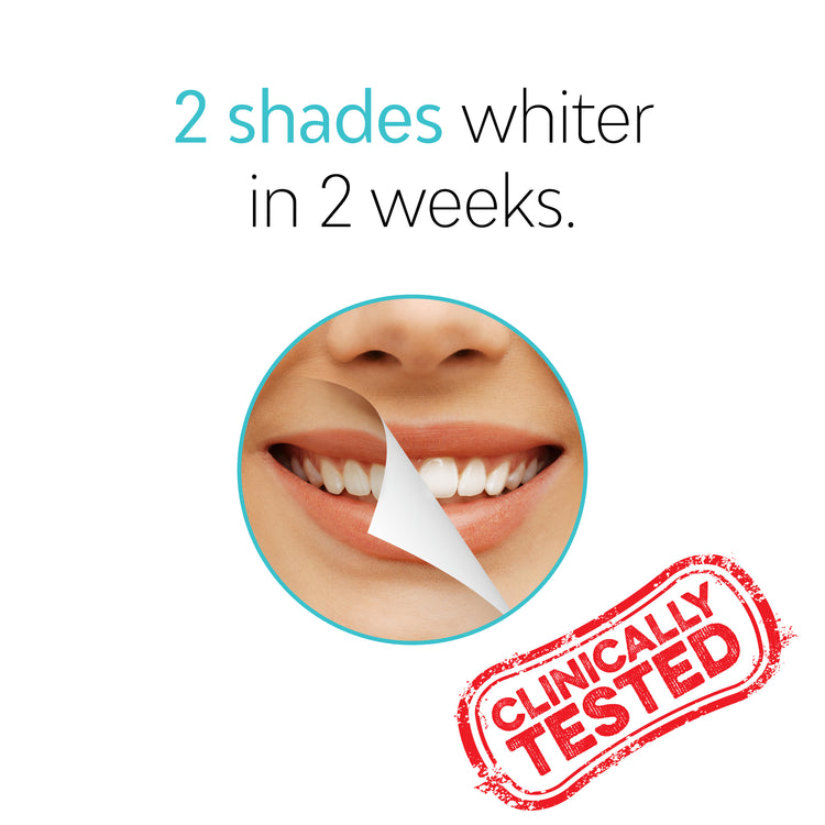 Toothbrush Ortho Heads (2 Pack)