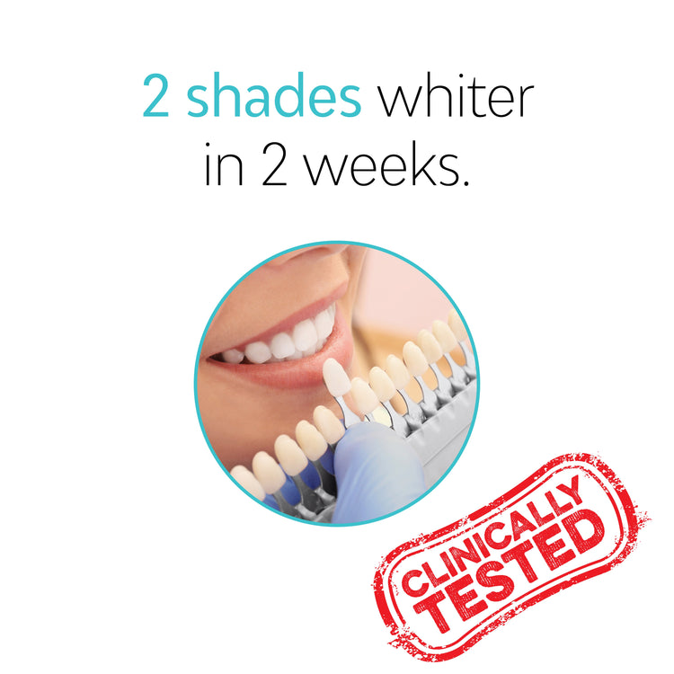 Whitening Toothbrush Heads (8 Pack)