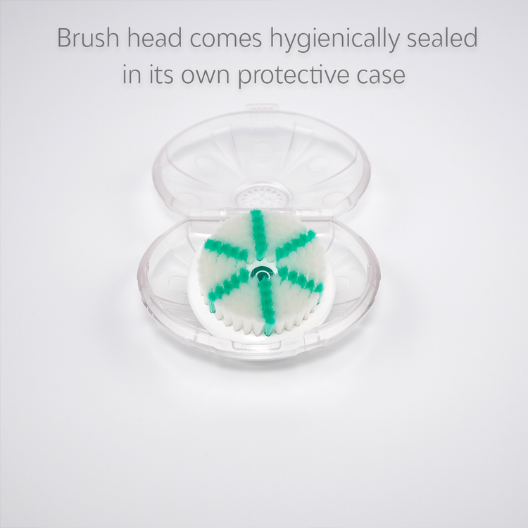 Daily Care Brush Heads - 2 Pack