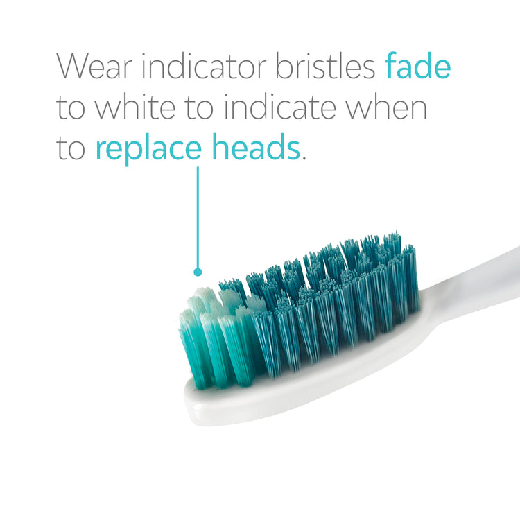 Extended Reach Whitening Toothbrush Heads (2 Pack)