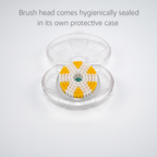 Exfoliator Brush Heads - 2 Pack
