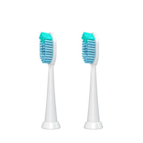 Whitening Toothbrush Heads