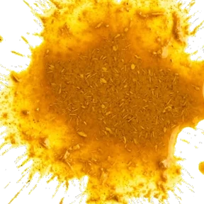 Curry stain